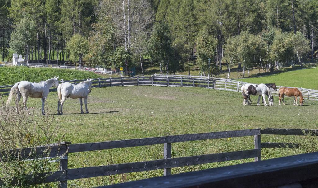Apartmenthaus Jagdhof Reith bei Seefeld Εξωτερικό φωτογραφία